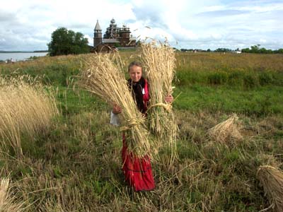 Приметы про погоду