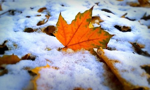 Первый снег в октябре