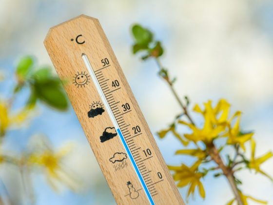 Актуальные приметы о погоде на весну