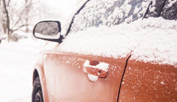 По звёздам можно предсказать количество урожая