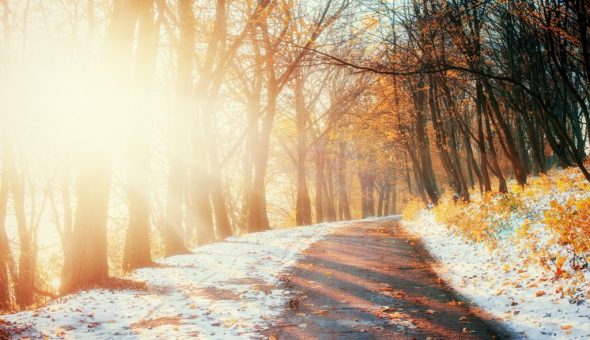 Ноябрьские приметы о погоде