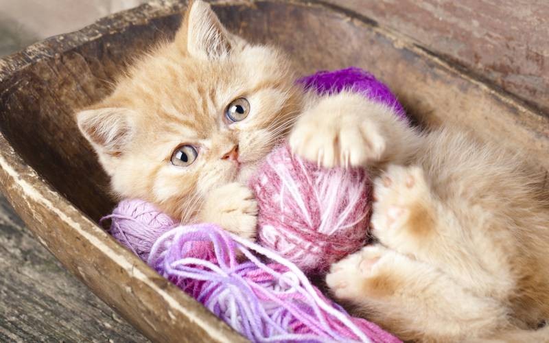 Приметы и поверья на 26 января 2021 года, по которым можно составить прогноз погоды