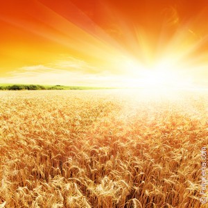 Приметы про солнце: красный закат и восход, садится в облака