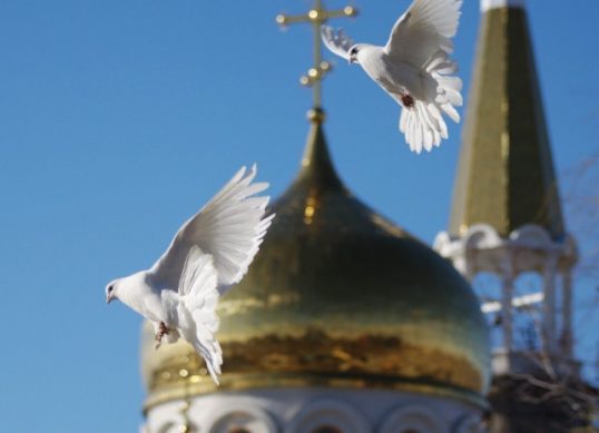 голубь на радоницу какая примета