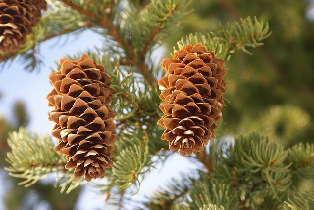 Приметы сентября для детей