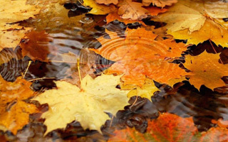 Приметы сентября для детей