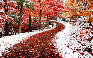 Приметы сентября для детей