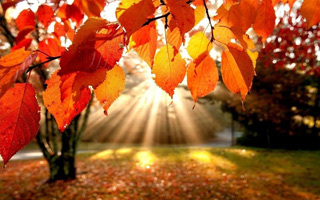 Приметы сентября для детей