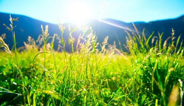 Приметы о погодных изменениях