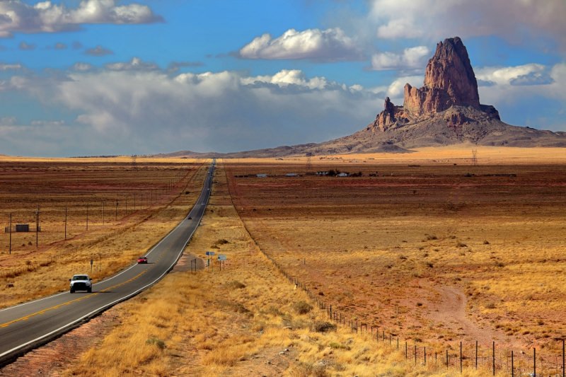 Природа, растения и животные сша