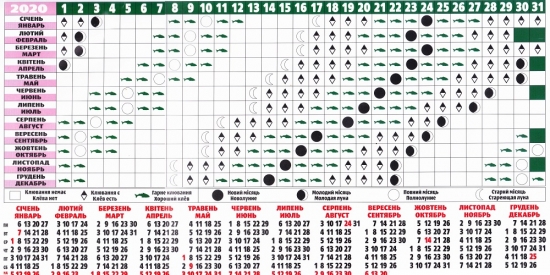 Прогноз клёва в Казани