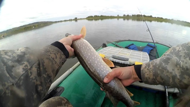 Прогноз клёва в Казани