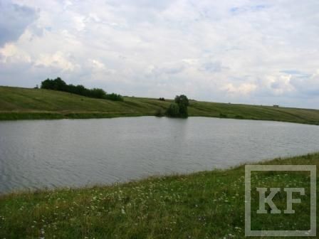 Прогноз клёва в Казани