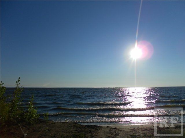 Прогноз клёва в Казани