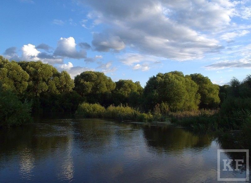 Прогноз клёва в Казани