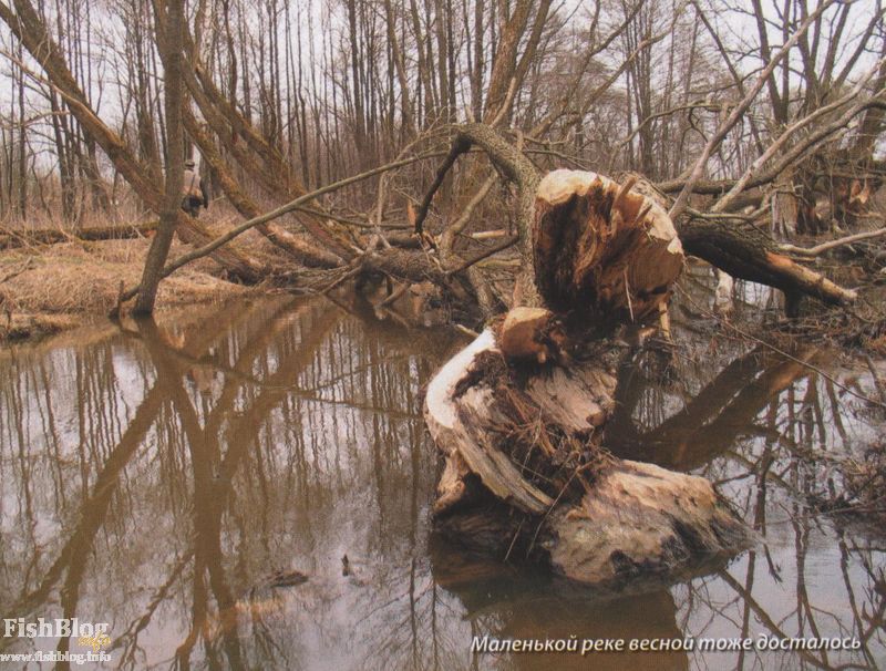 Половодье на малой реке