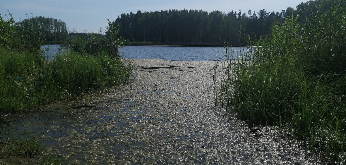 Прогноз клева рыбы в десногорске
