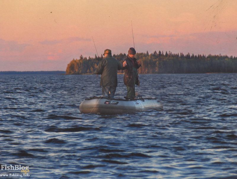 Ловля спиннингом