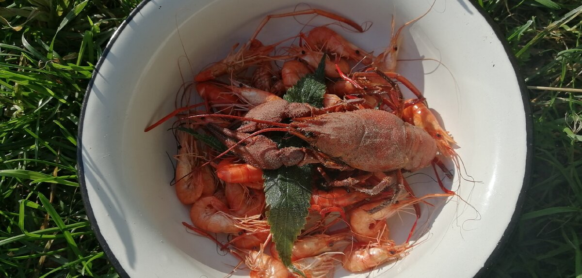 Прогноз клева рыбы в десногорске