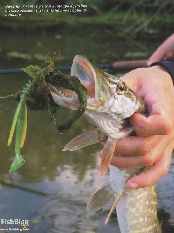 Щука на "резину"