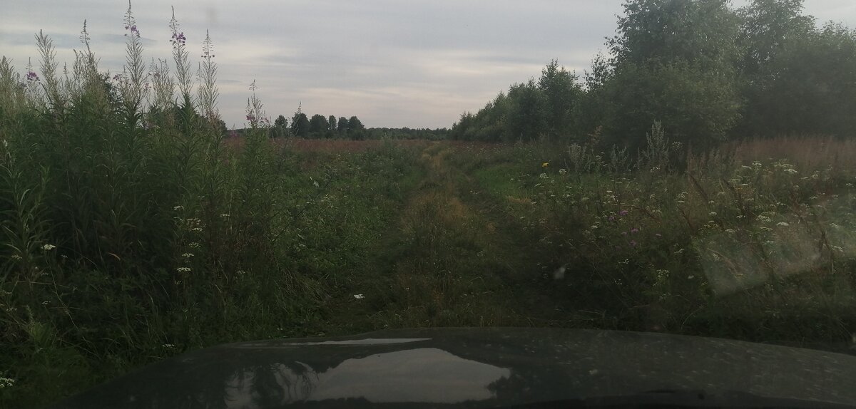 Прогноз клева рыбы в десногорске