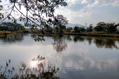 Прогноз погоды на рыбалку