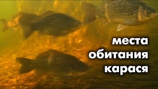 Какая речная рыба клюет в апреле на озерах