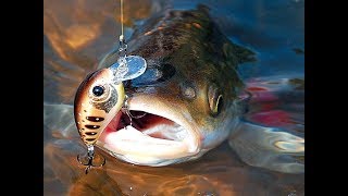 В марте спиннингом ловят