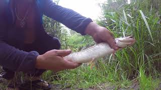 Отчеты о рыбалке клин