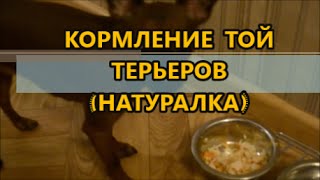 Самодельное крепление для эхолота практика