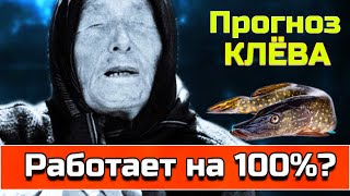 Прогноз клева на неделю в г. шарыпово красноярского края