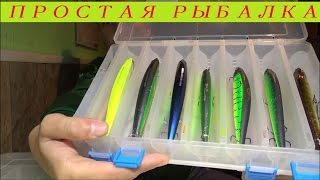 Коробка для блесен ring star dream master area