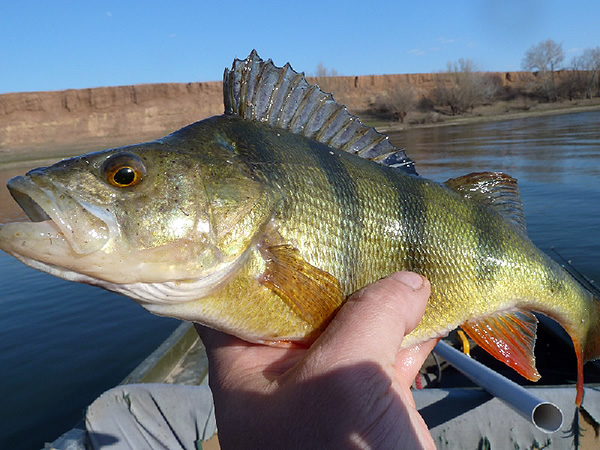 Рыбалка в астрахани в сентябре