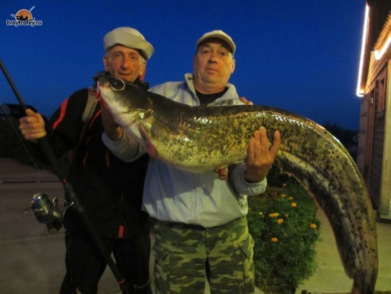 Рыбалка в астрахани в сентябре