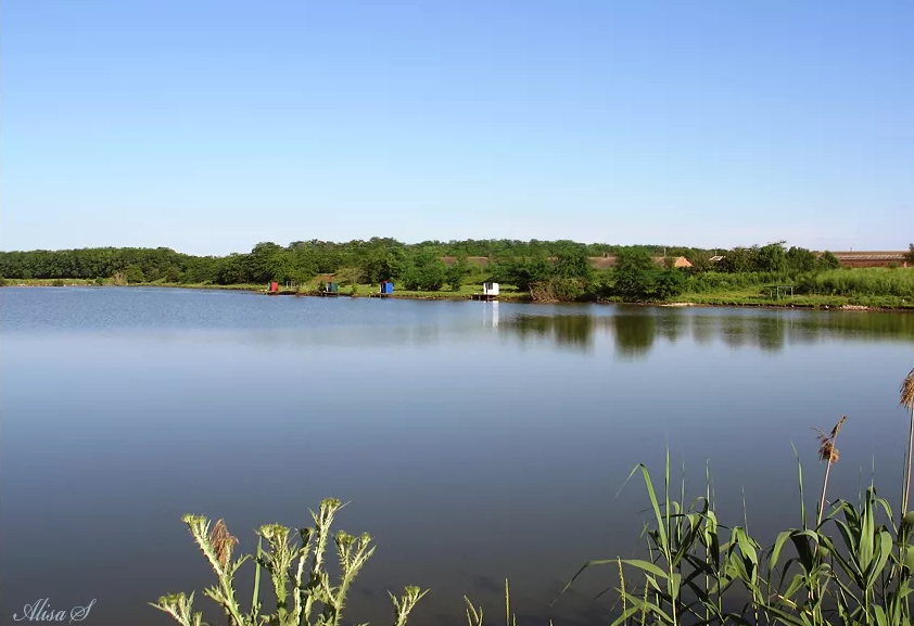 Отдых с рыбалкой в «Пластунах»