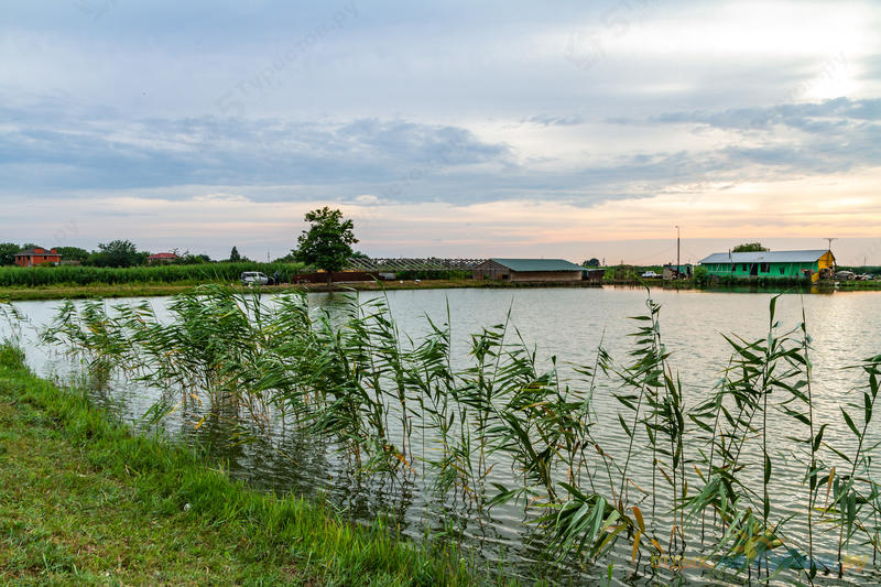 Спортивная рыбалка на «Шаповаловых прудах»