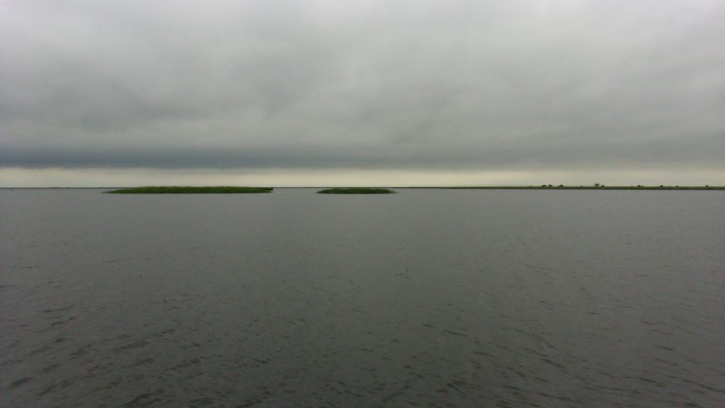 Большой Червонный лиман