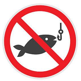 Лунный календарь рыбака с таблицей клева рыбы 2021