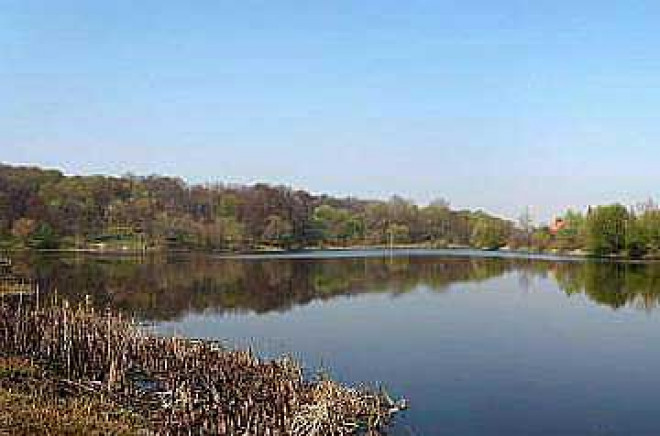 Курская область