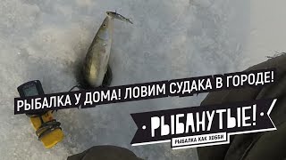 Зимняя рыбалка в новосибирске 2019