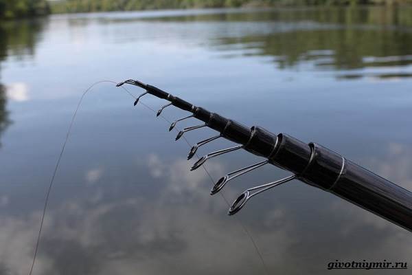 Рыбалка-на-плотву-в-разные-сезоны-и-различными-способами-17