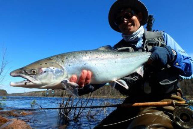 Варзуга: рыбалка и какая рыба водится