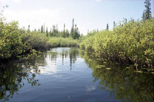 Река Цага Рыбалка на реке Варзуга на Кольском полуострове