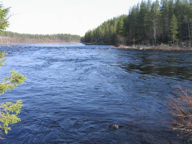 Варзуга: рыбалка и какая рыба водится