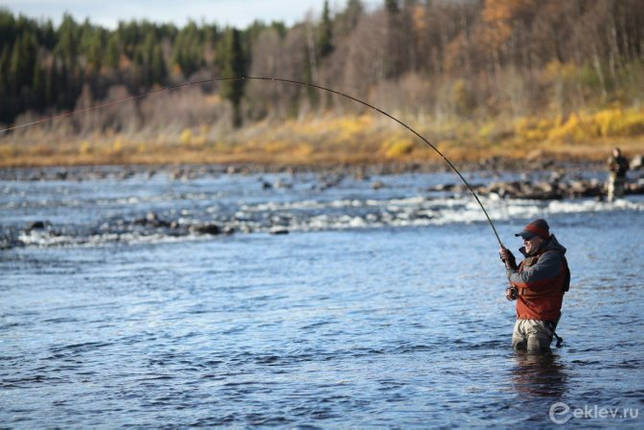 Варзуга: рыбалка и какая рыба водится