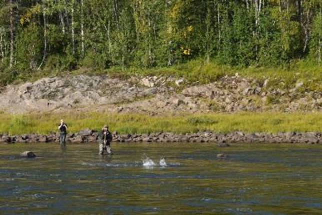 Варзуга: рыбалка и какая рыба водится