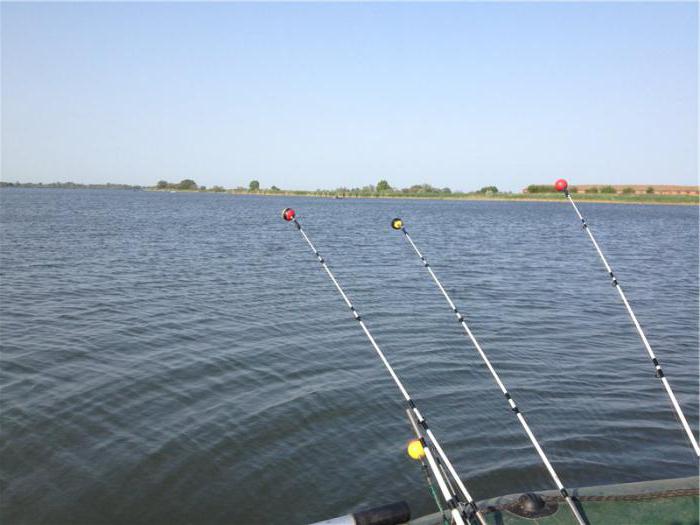 Рыбалка в Рогожкино