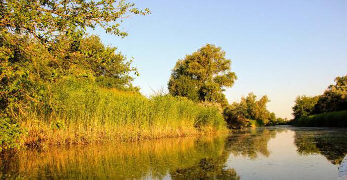 Погода в Рогожкино