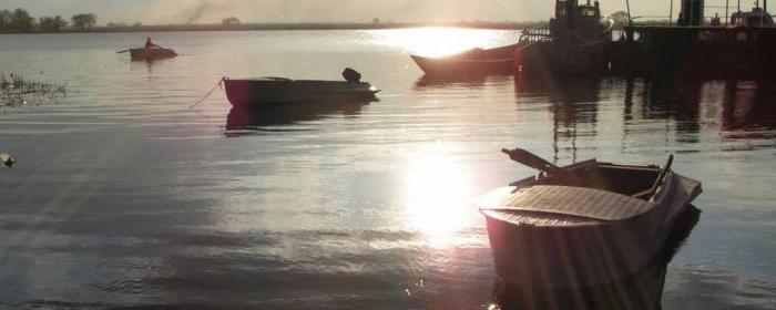 Хутор Рогожкино