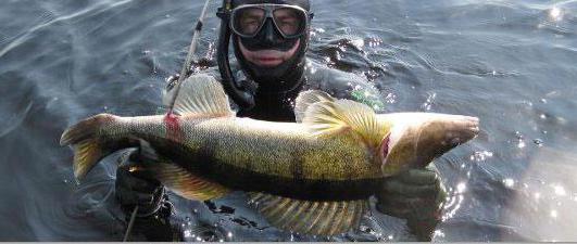 рыбалка в сумах зимой